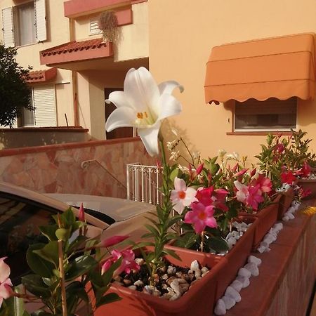 Hotel Domomea Quartu SantʼElena Exterior foto